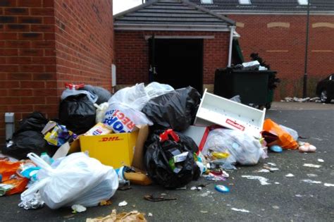 Festering Trash And Teens Having Sex In The Street The Sorry State