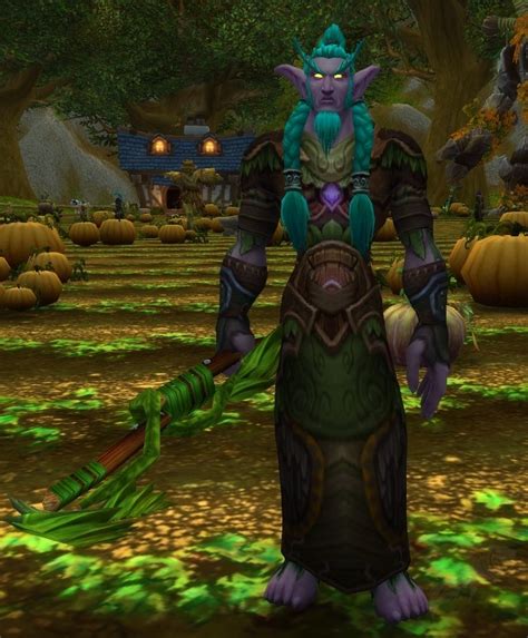 Druida Darnassiano PNJ World Of Warcraft