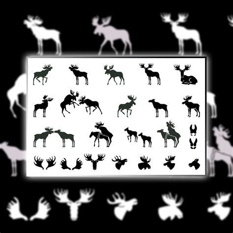 Set Of Moose Silhouettes Vector Images Masterbundles