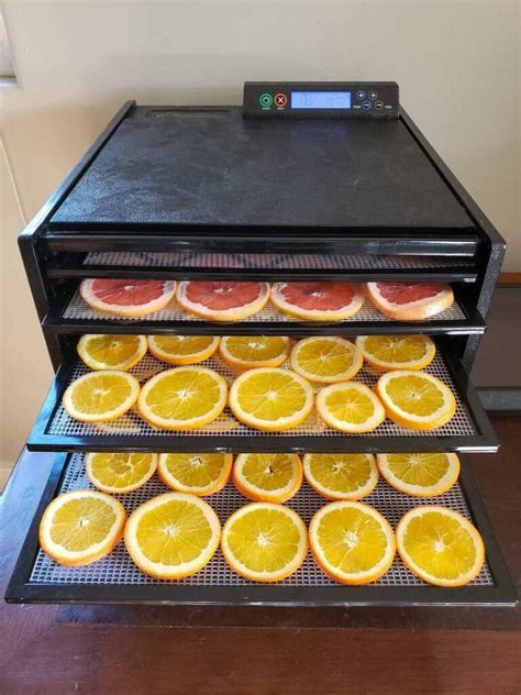 How To Dry Orange Slices For Holiday Decorations Oven Or Dehydrator ~ Homestead And Chill