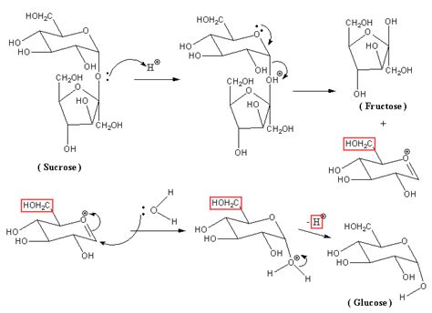 Solved Using Curved Arrows To Symbolize The Flow Of Electrons Write A