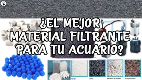 ¿cuál Es El Mejor Material Filtrante Para Tu Acuario Acuarioslp Youtube