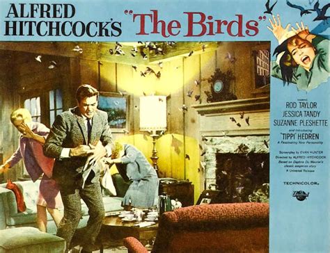 Classic Movies The Birds 1963