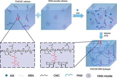 定制改性羧甲基纤维素增强的高强度、超拉伸疏水缔合水凝胶journal Of Applied Polymer Science X Mol