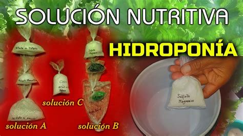 Casarse Desenterrar Patinar Solucion Nutritiva Para Hidroponia Descartar En Un Día Festivo Integral