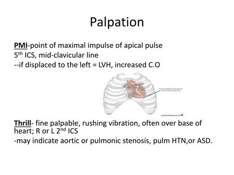 Ppt The Cardiac Exam Powerpoint Presentation Free Download Id2085121