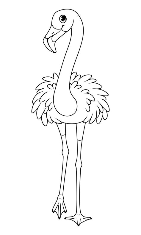 Premium Vector Bird Greater Flamingo Outline Vector Cartoon Illustration