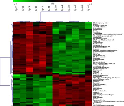 Heat Map And Hierarchical Cluster Analysis Hca Of Differential