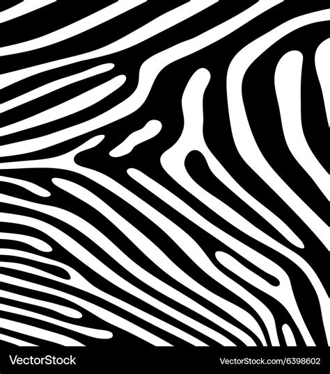 Skin of zebra Royalty Free Vector Image - VectorStock