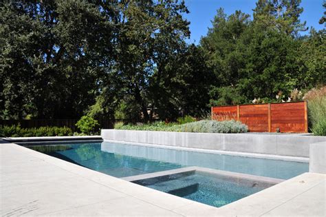 California Contemporary Contemporary Pool San Francisco By