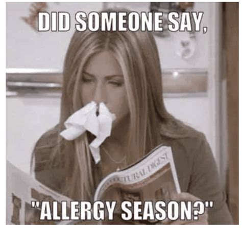 If You Suffer From Seasonal Allergies These Memes Are For You