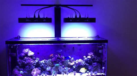 2017 Diy Reef Led Light Mount Mars Aqua 165w 55 Gallon Saltwater Fish