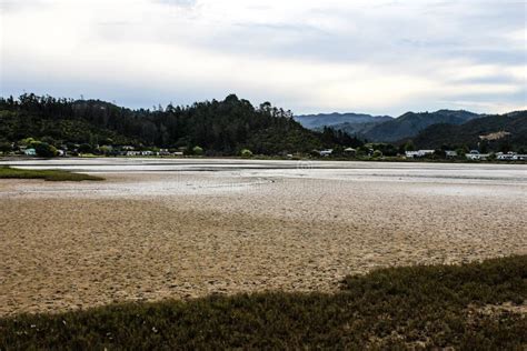 New Zealand in the summer stock photo. Image of land - 108997474