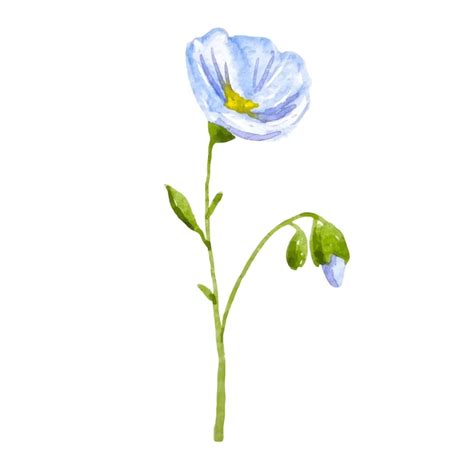 Lino De La Etiqueta Engomada De La Flor Azul Acuarela Aislado Vector