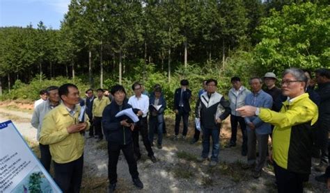 산림청 산림경영지도사업 맞춤형 지원 대폭 강화 네이트 뉴스