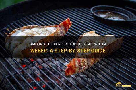 Grilling The Perfect Lobster Tail With A Weber A Step By Step Guide Shungrill