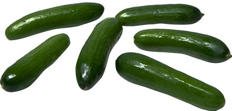 Download Fresh Green Cucumbers Isolated