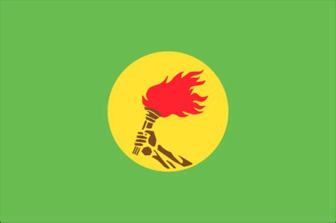 Zaire Flag (1971-1997) | Former African Flags | Former World Flags