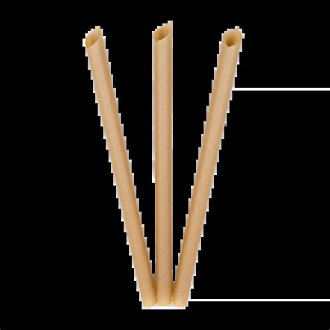 Boba Straws Biodegradable Soggy Free Affordable