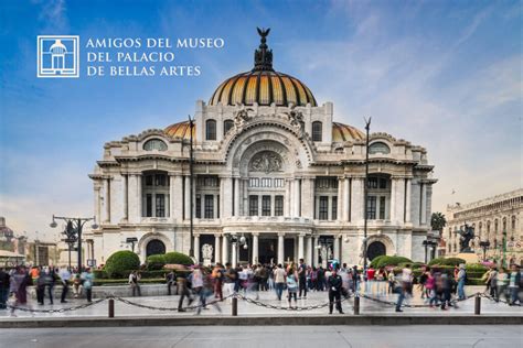 Aliados Amigos Del Museo Del Palacio De Bellas Artes