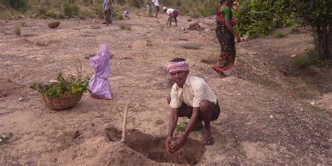 Plant A Tree To Support The Villagers In Andhra Pradesh