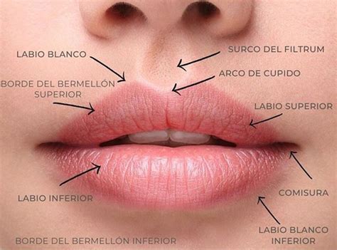 Sobre los labios Remodelación de labios