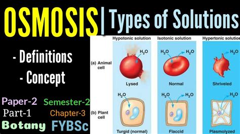 Fybscsem 2pap 2ch 3p1 Osmosis Definition Types Of Solution