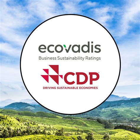 Ecovadis And Cdp Assessment Sustainx