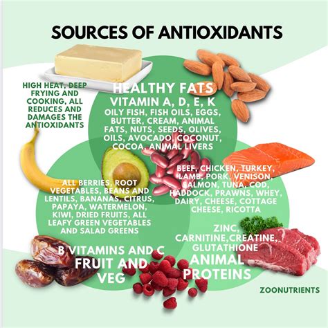 Top foods to include in your healthy diet (list included)