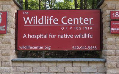 Wildlife Centers in Virginia | Virginia Wildlife Protection