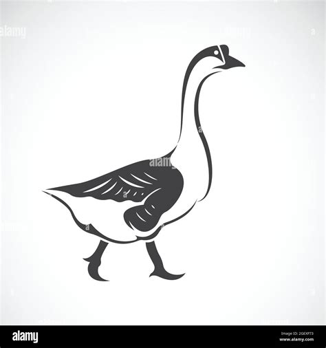 Vector Image Of A Goose On White Background Vector Goose Logo Farm