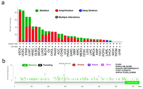 Plod3 Mutation Feature In Different Tumors Of Tcga The Alteration