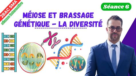 M Iose Et Brassage G N Tique La Diversit S Ance Interactive Youtube