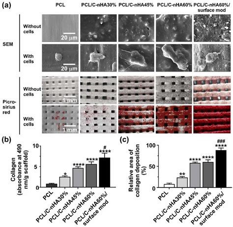 Effect Of Increasing C Nha Concentration In 3d Printed Pcl Scaffolds Download Scientific