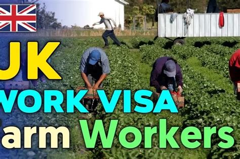 Top 10 Highest Paying Agriculture Jobs In Uk With Visa Sponsorship For