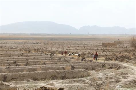 Un Reports Severe Drought In Afghanistan Provinces Kabulnow