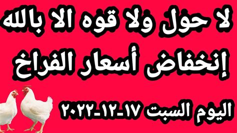 أسعار الفراخ البيضاء اليوم سعر الفراخ البيضاء اليوم السبت ١٧ ١٢ ٢٠٢٢ في