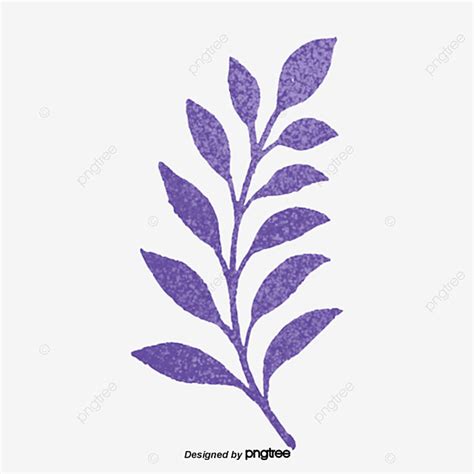 Hojas Moradas Pintadas A Mano PNG Elemento Hoja Violeta PNG Y PSD