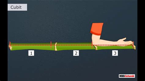 Cubit Measurement