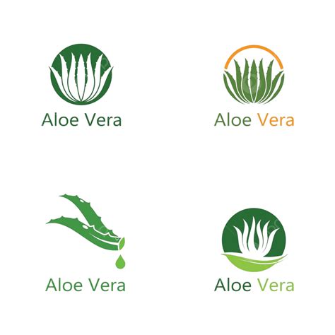 A Collection Of Aloe Vera Logo Vector Templates For Illustration Vector