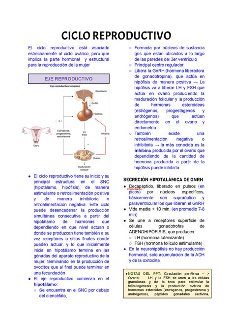 Eje reproductivo Regulación hormonal del ciclo ovárico Apuntes de