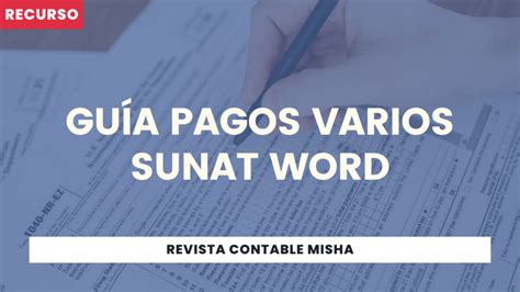 Gu A Pagos Varios Sunat Word Noticiero Contable