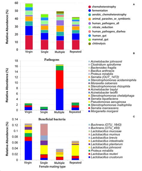 Functional Prediction Of Bacteria In S Frugiperda Females Of Download Scientific Diagram