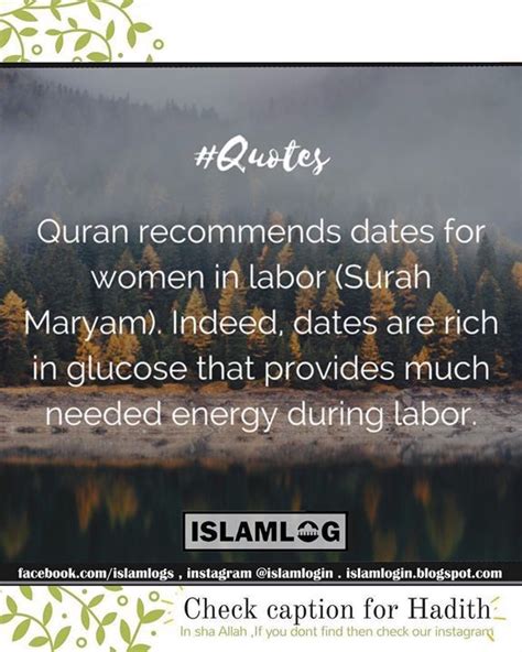 A hadith from Sahih al-Bukhari chapter: Knowledge: Sahih al-Bukhari Knowledge Book 3 Hadith 55 ...