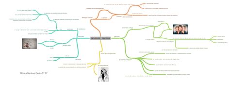 Neurosis Y Psicosis Mónica Martínez Castro 5° B Coggle