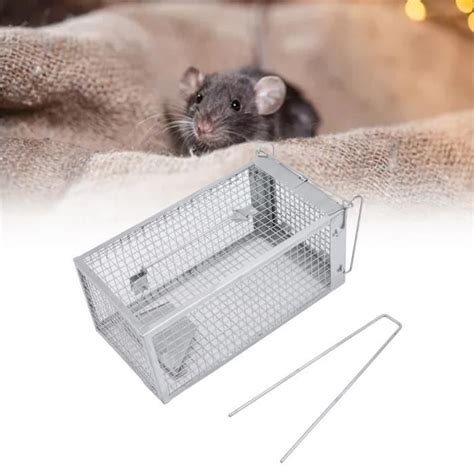 Piège à rats Fer Rat TMISHION Cage Simple Porte Attraper les