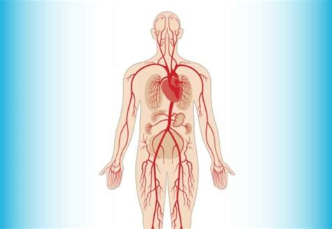 Arterial Leg Ulcers | Richardson Healthcare