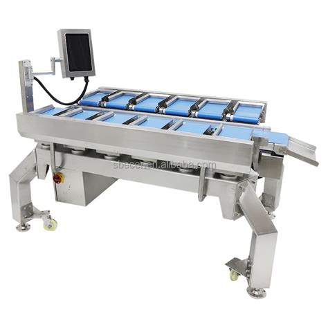 Semi Automatic Kg Table Top Dataweigh Combination Checkweigher High