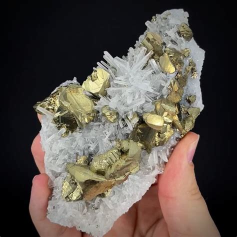 Chalcopyrite On Quartz With Calcite Rare Combo Hefendehl Coll