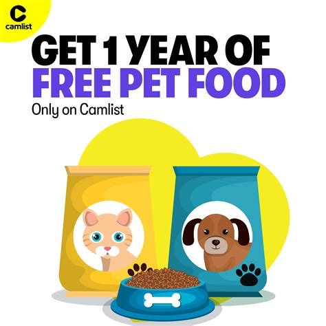 This guide explains the best way to rehome cats near me this weekend 13